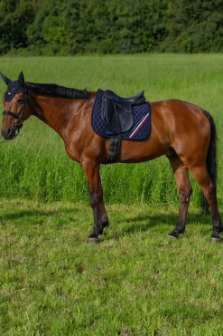 Stanford Dressurschabracke