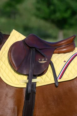 Stanford Springschabracke