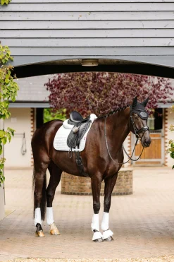 Suede Dressurschabracke