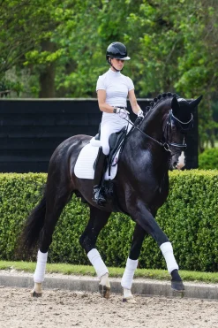 Suede Dressurschabracke