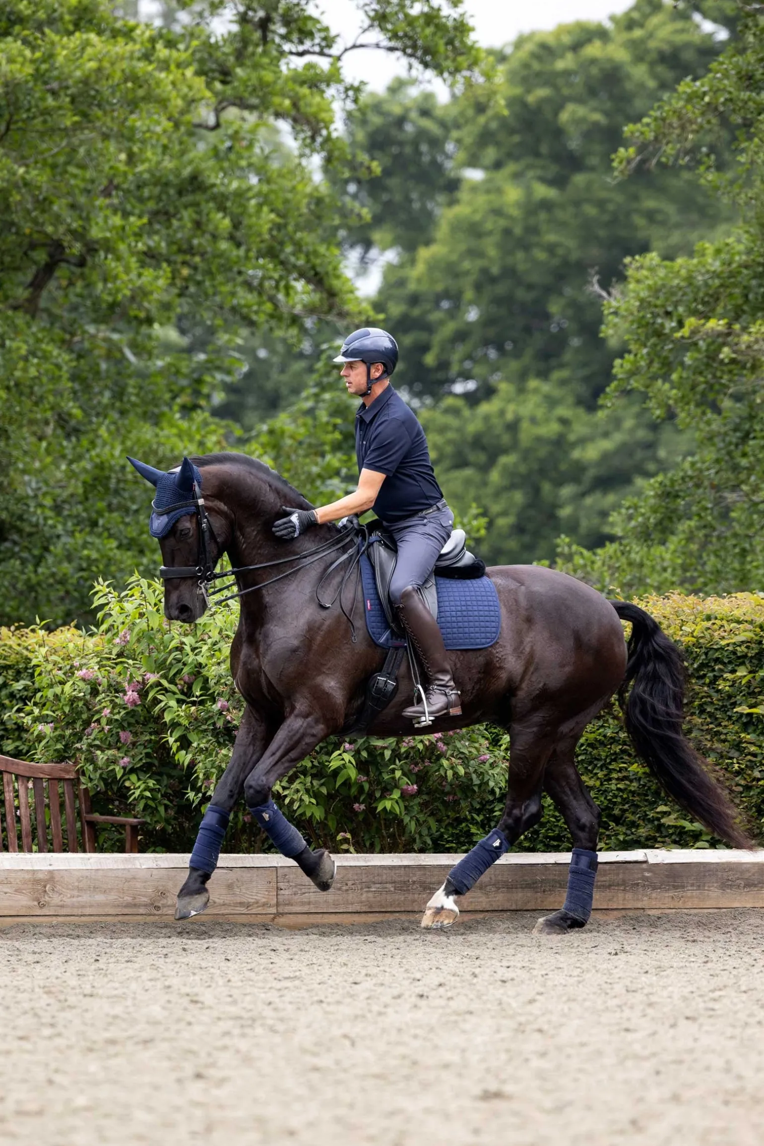 Suede Dressurschabracke