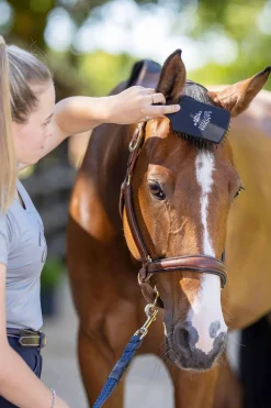 Tangle Tidy Mähnen- und Schweifbürste