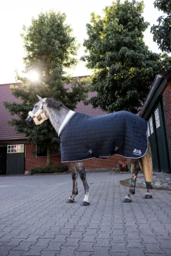 Theo Stalldecke, 150g