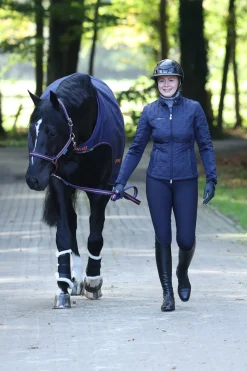 Therapy Führanlagendecke