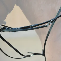 Thiedemann-/Köhler-Zügel