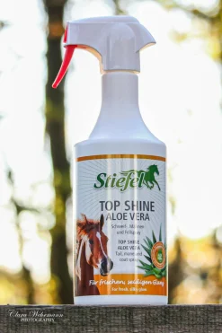 Top Shine Aloe Vera