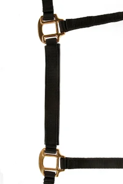 TopLine Fohlenhalfter