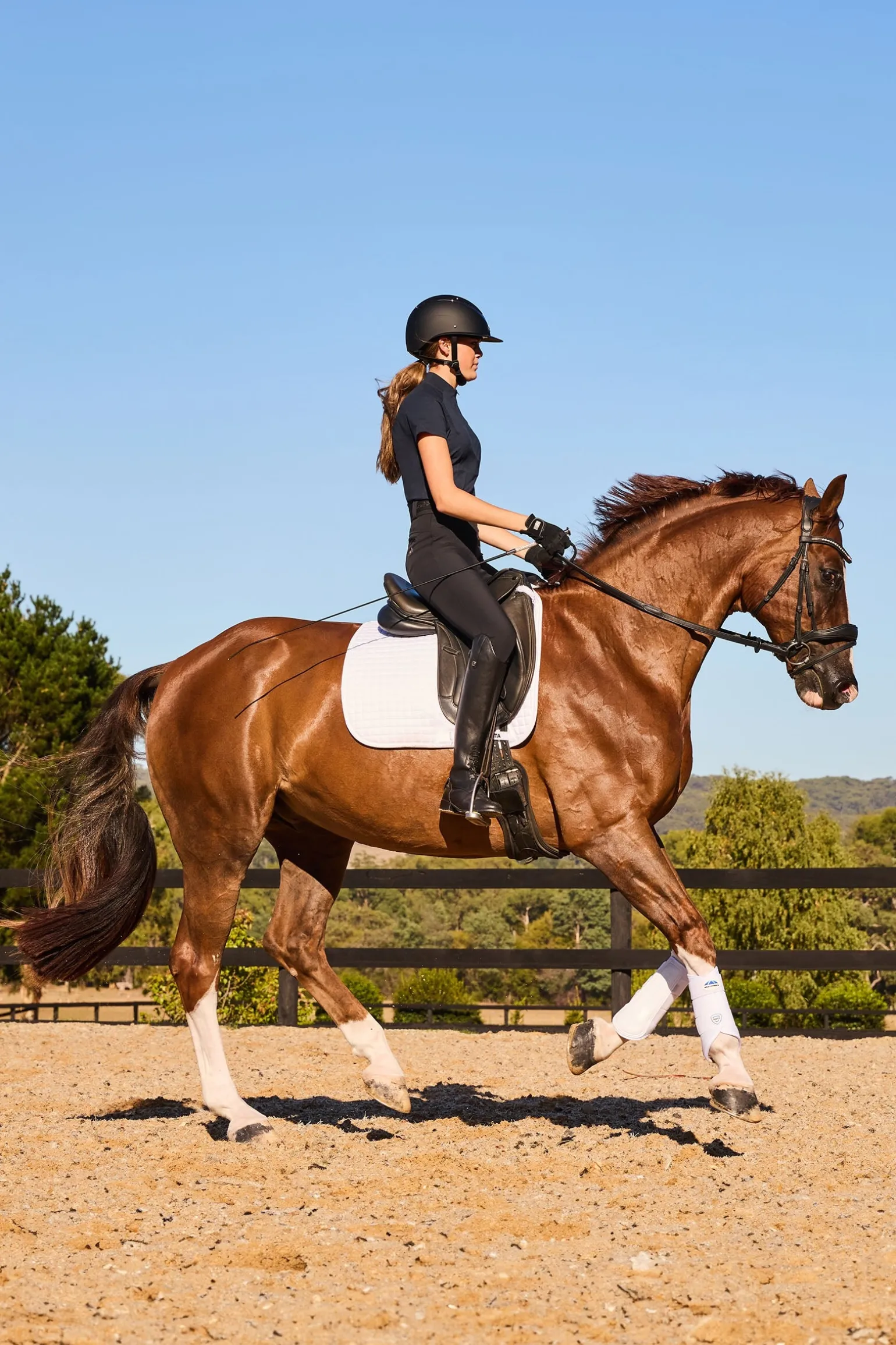 Tough-Tec Prime Dressurgamaschen