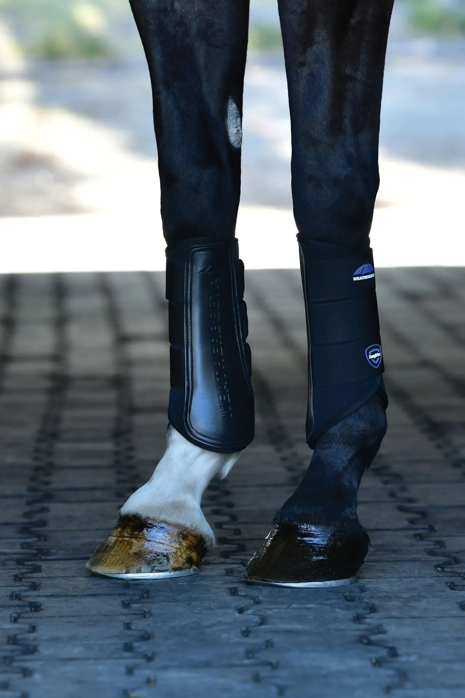 Tough-Tec Prime Dressurgamaschen