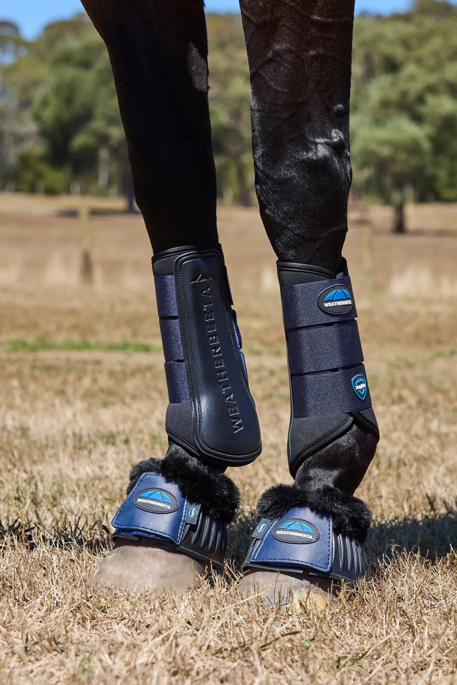 Tough-Tec Prime Dressurgamaschen