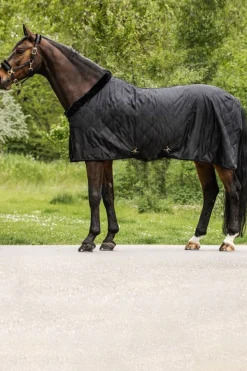 Transportdecke Exclusive, 50g