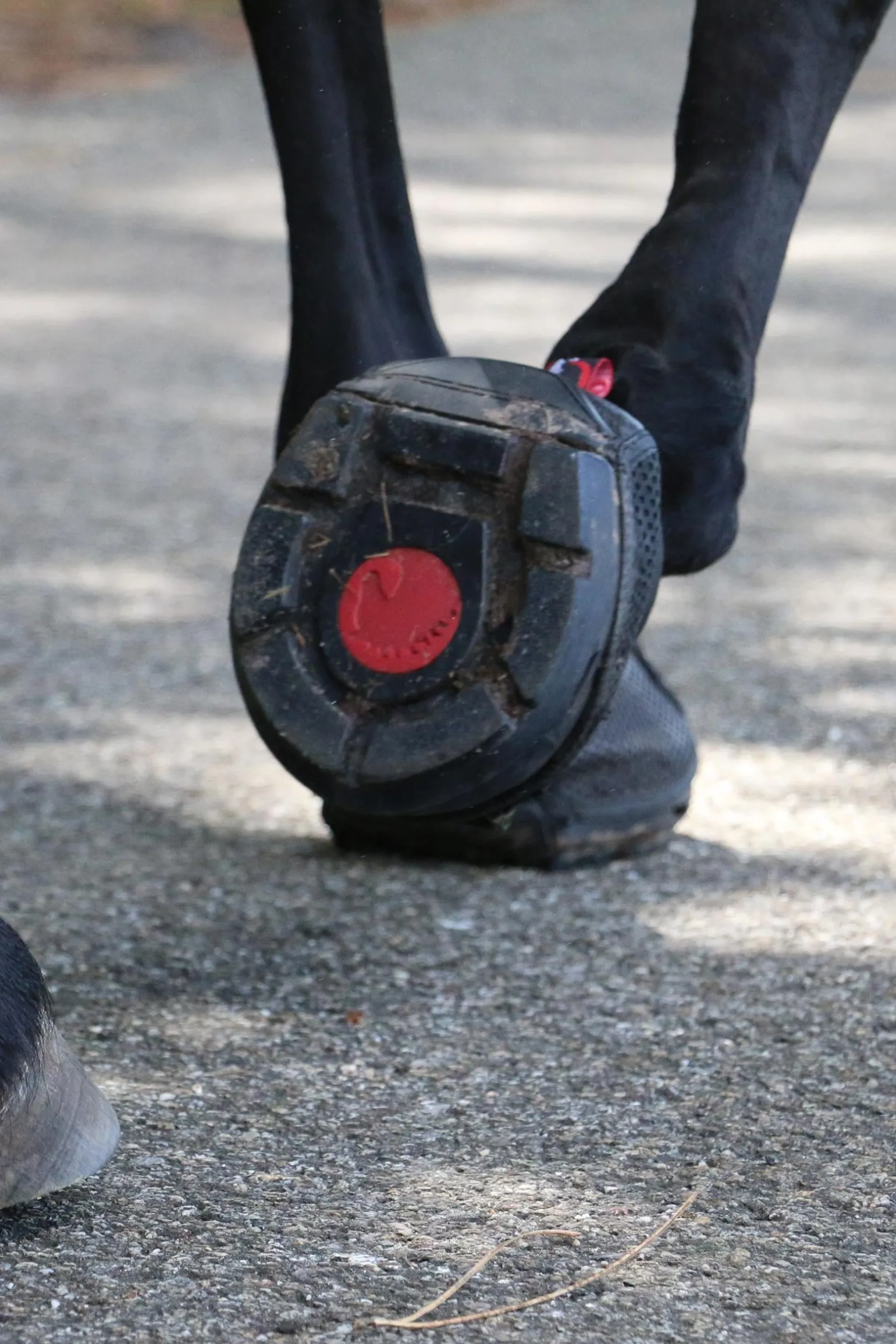 Trek SRS Hufschuhe (regulär/Paar)