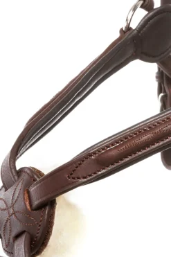 Trense Everado mit mexikanischem Nasenriemen