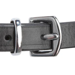 Trense Isabella, hann. RH, PII