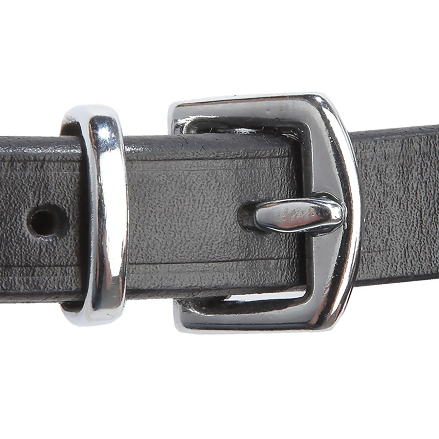 Trense Isabella, hann. RH, PII