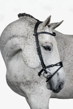 Trense, Mary Lou von Henrik von Eckermann