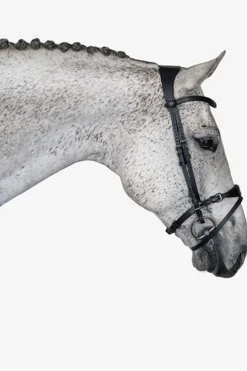 Trense, Mary Lou von Henrik von Eckermann