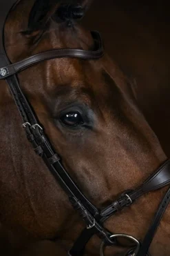 Trense, Mary Lou von Henrik von Eckermann