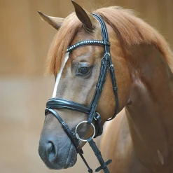 Trense Mia,schwed.-komb. RH, KB