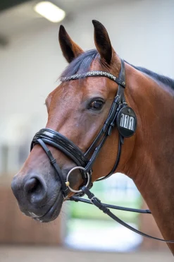 Trensenummerhalter (1 Stück)
