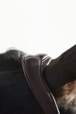 Ultrasoft® Deluxe Leder-Stallhalfter