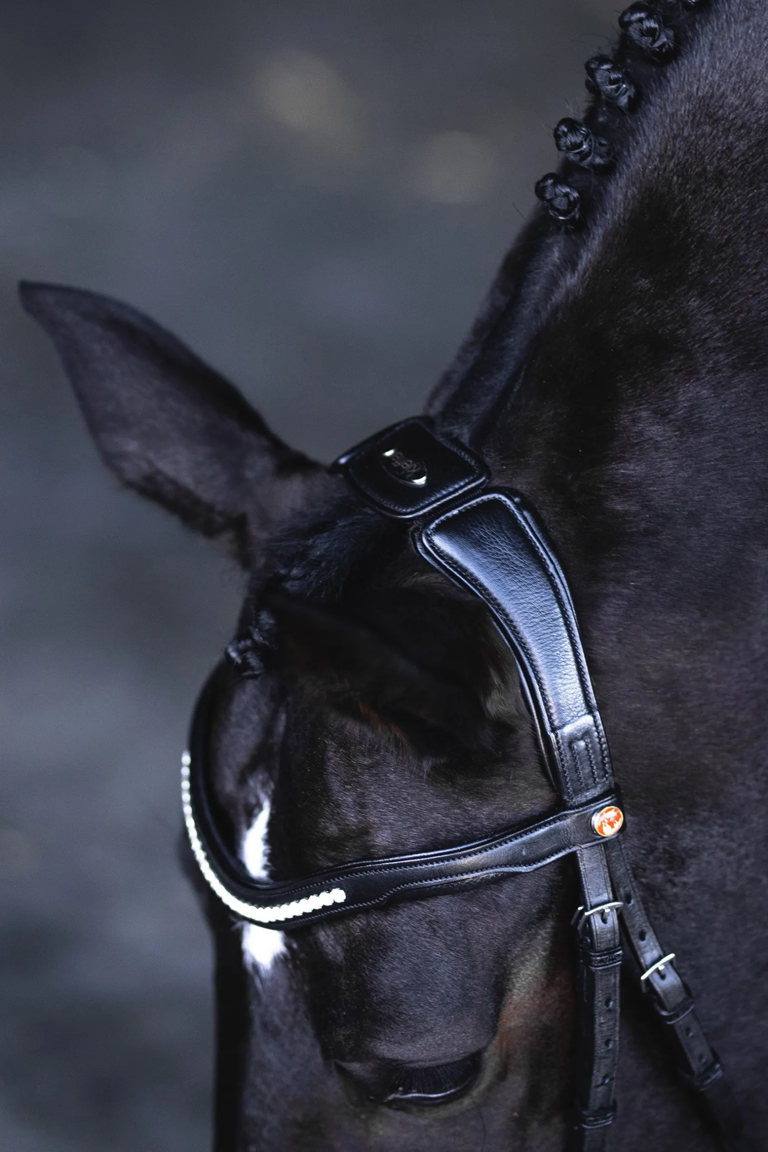 Ultrasoft® Luna Trensenzaum