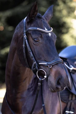 Ultrasoft® Luna Trensenzaum