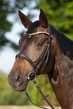 Ultrasoft® Sue Trensenzaum