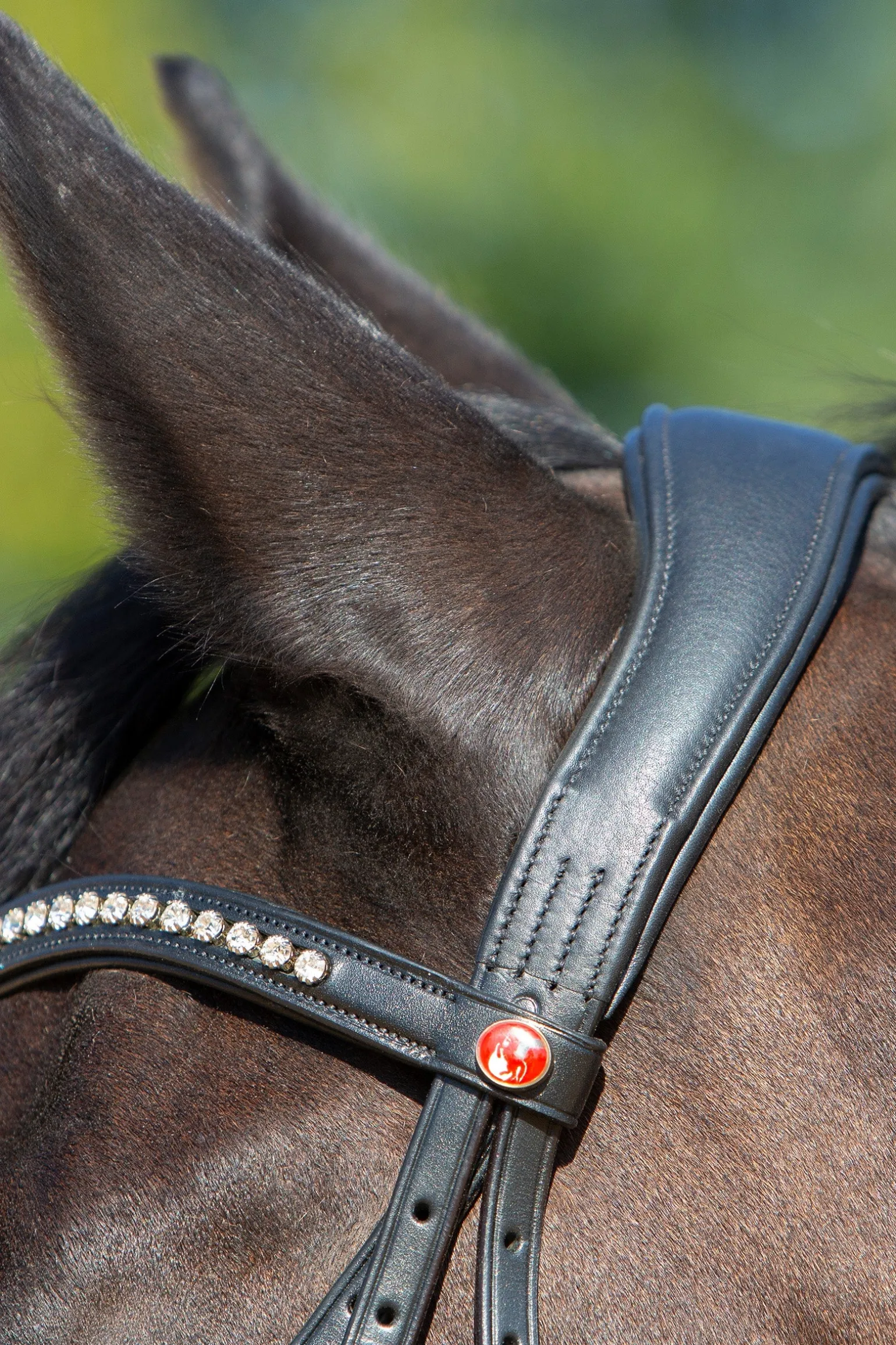 Ultrasoft® Sue Trensenzaum