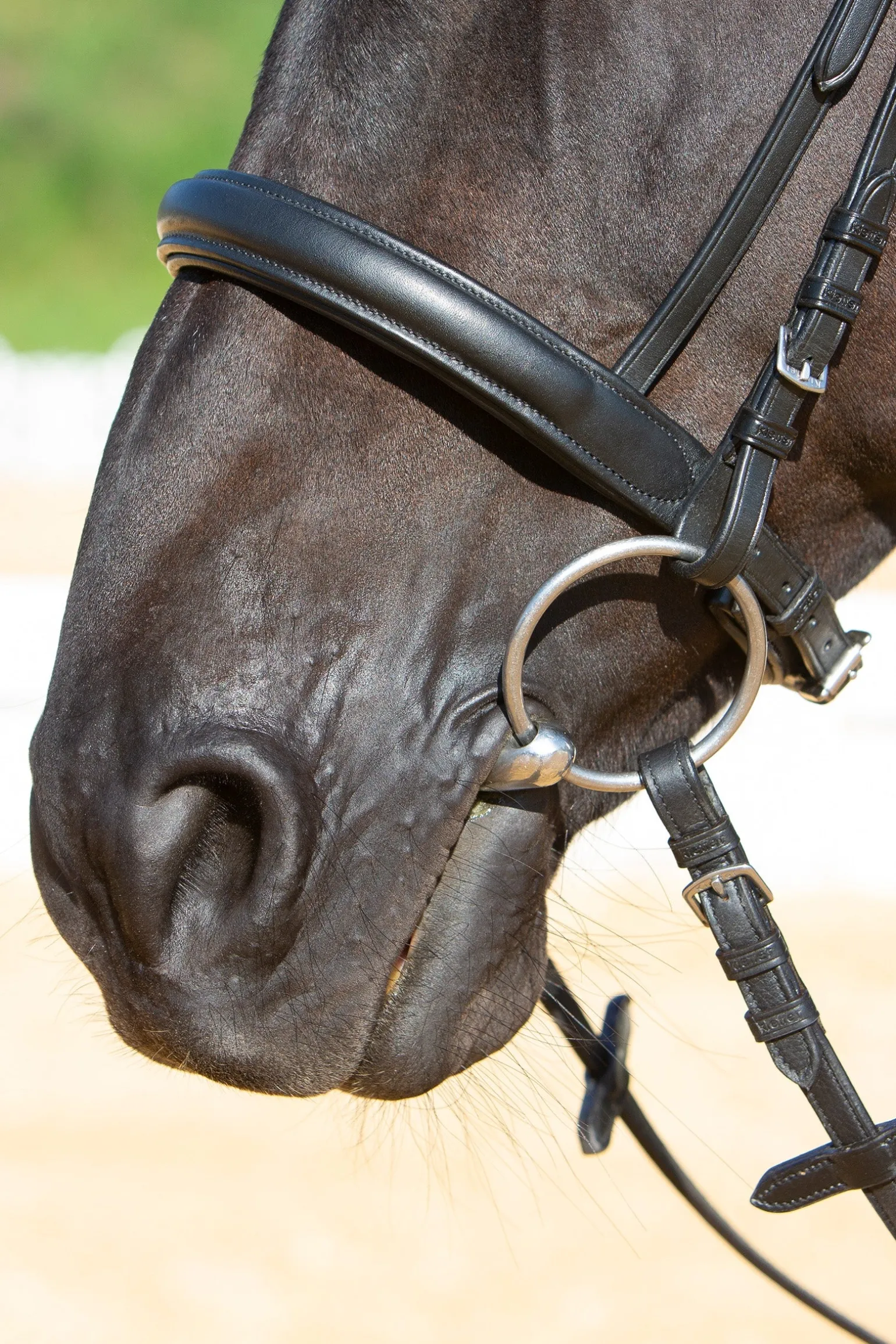 Ultrasoft® Sue Trensenzaum