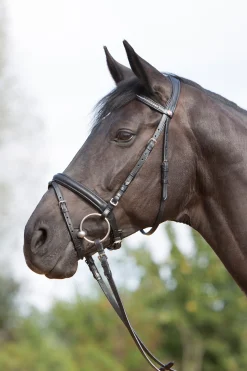 Ultrasoft® Trensenzaum