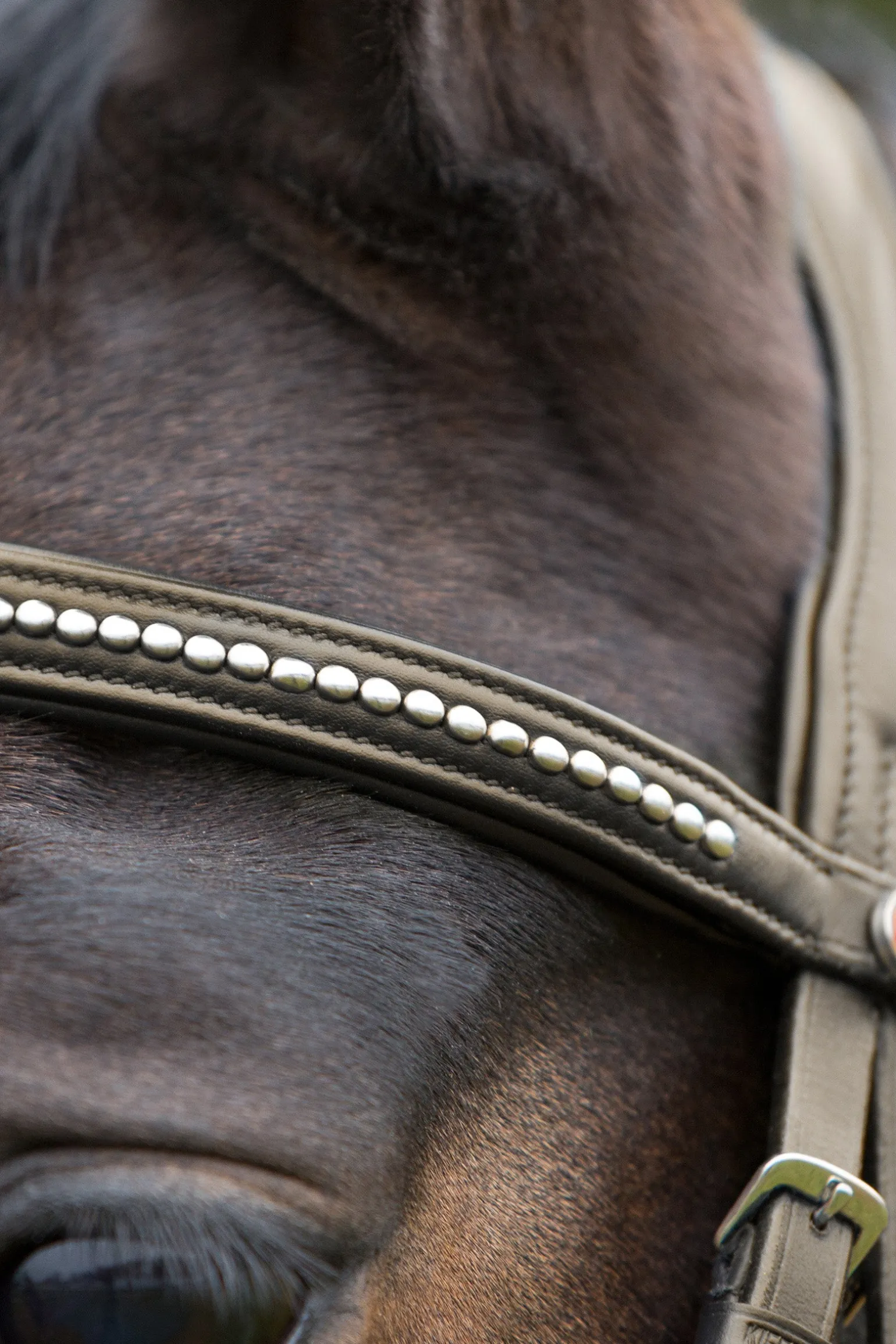 Ultrasoft® Trensenzaum