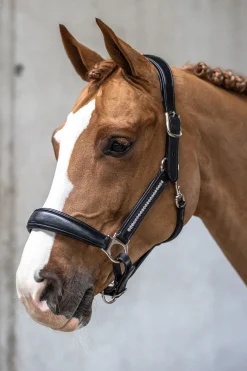 Ultrasoft®Luna Halfter