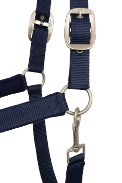 Urban Vitalität Halfter