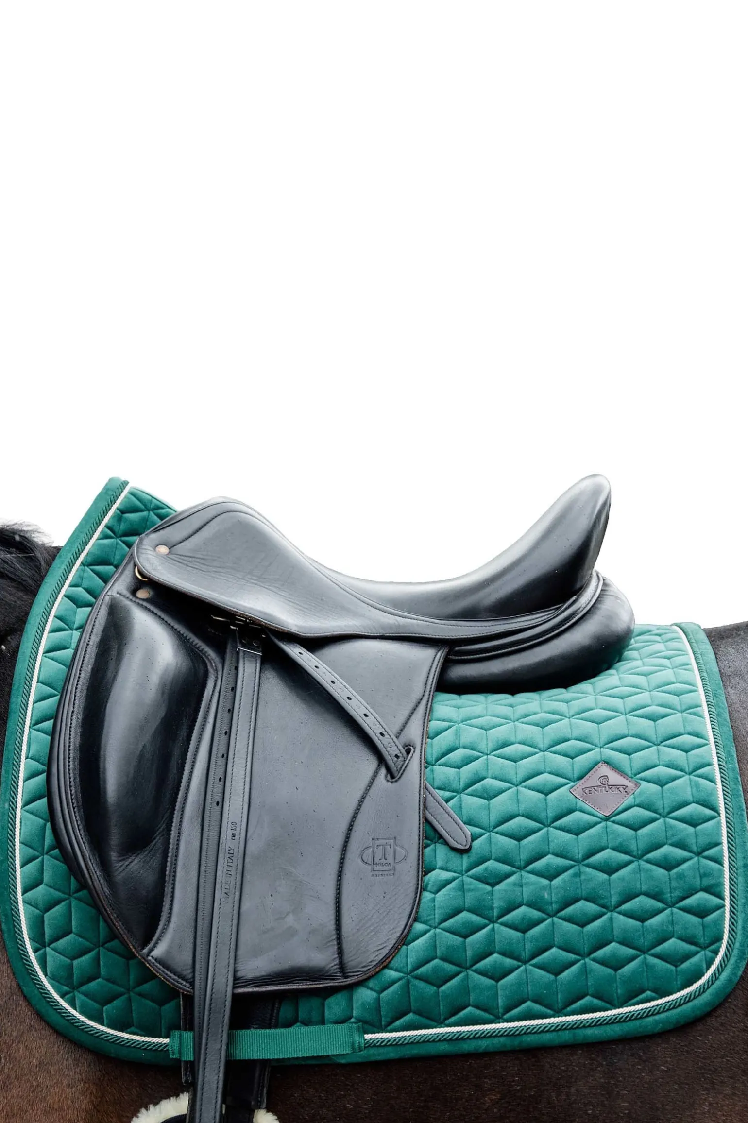 Velvet Dressurschabracke