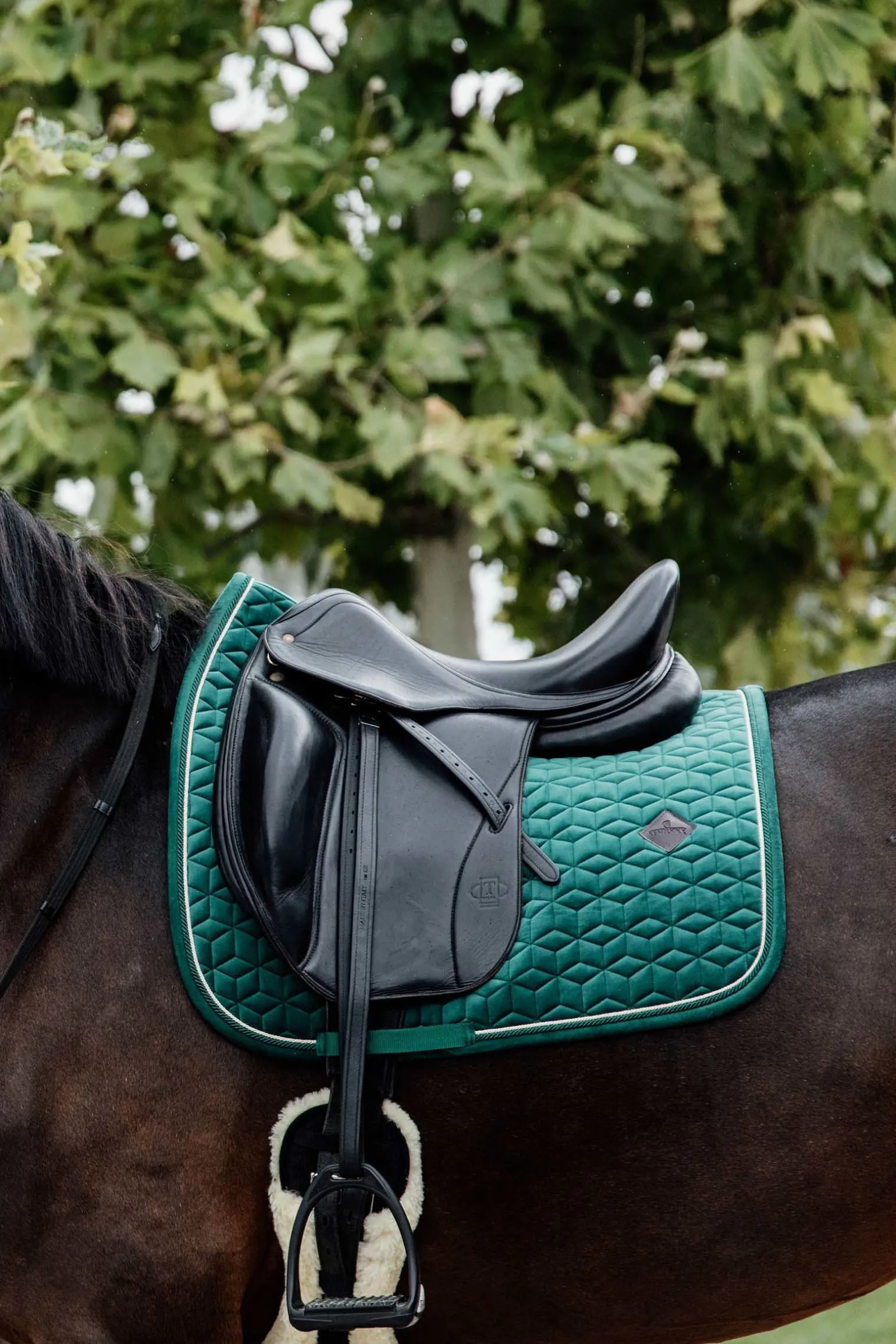 Velvet Dressurschabracke