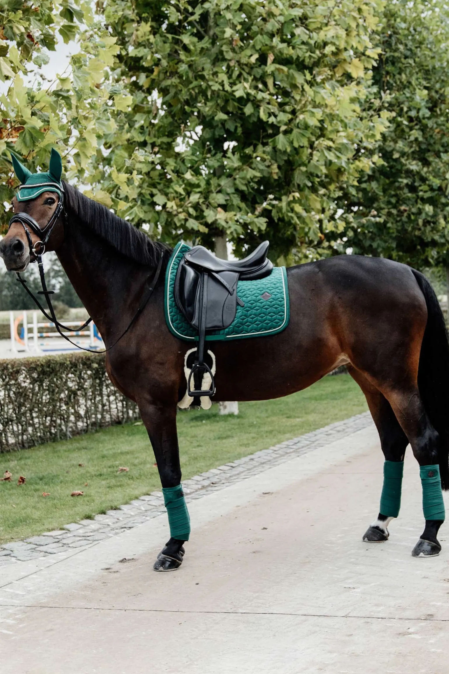 Velvet Dressurschabracke