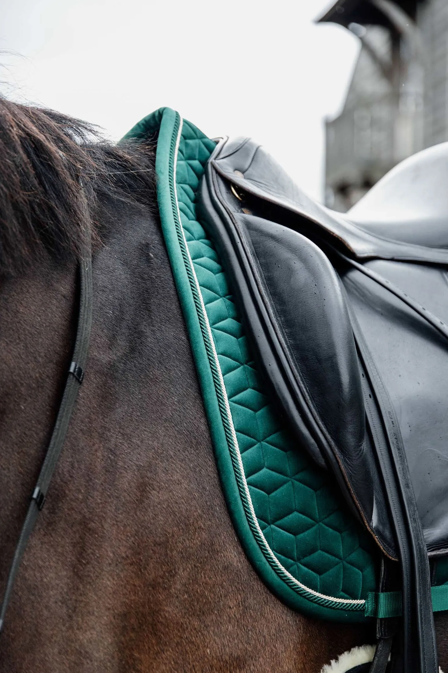 Velvet Dressurschabracke