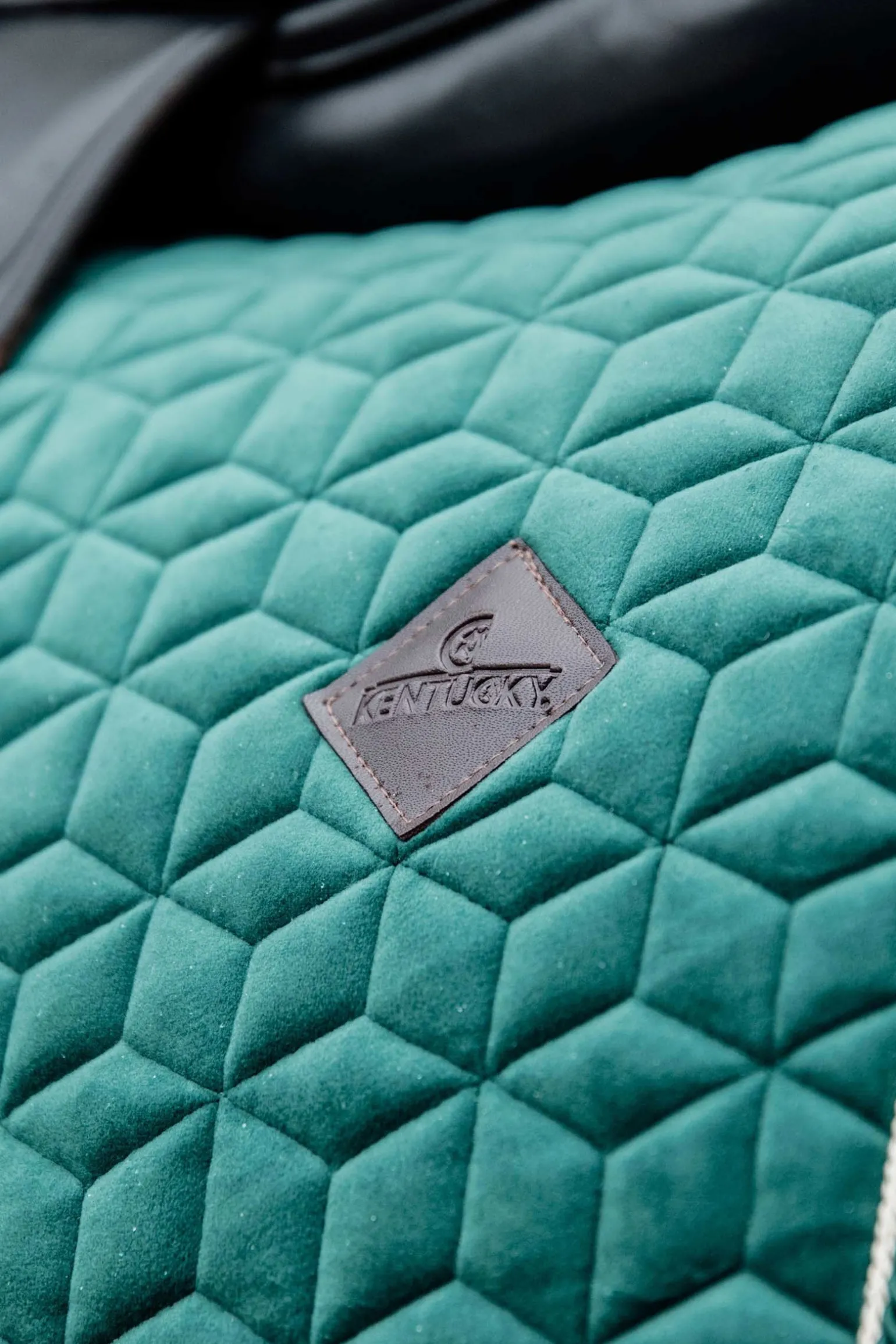 Velvet Dressurschabracke