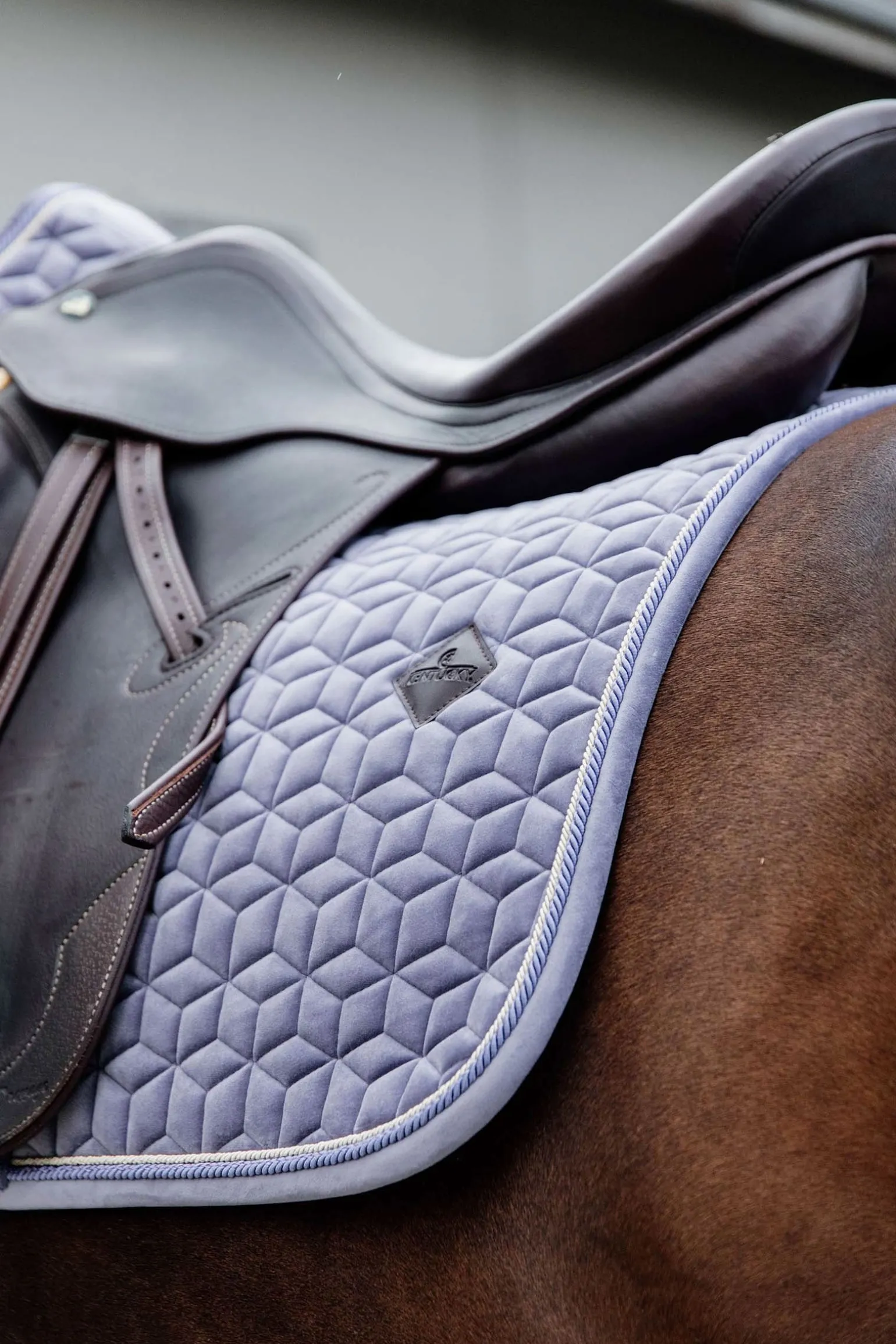 Velvet Dressurschabracke