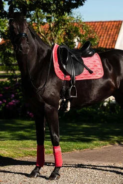 Velvet Monogram Dressur Schabracke