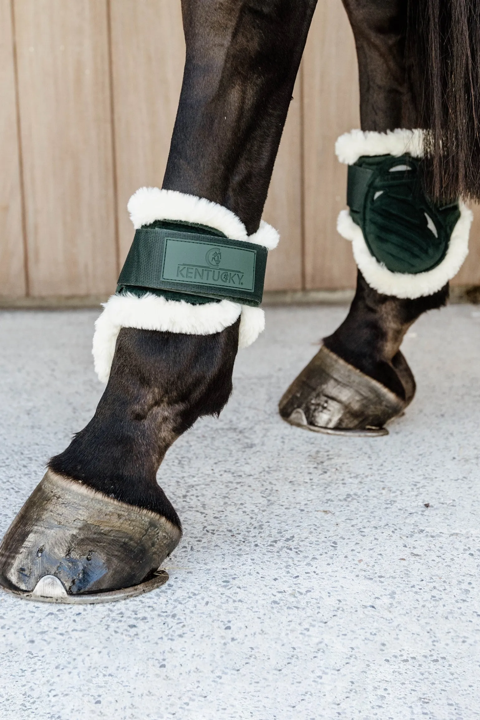 Velvet vegane Lammfell Streichkappen für Jungpferde