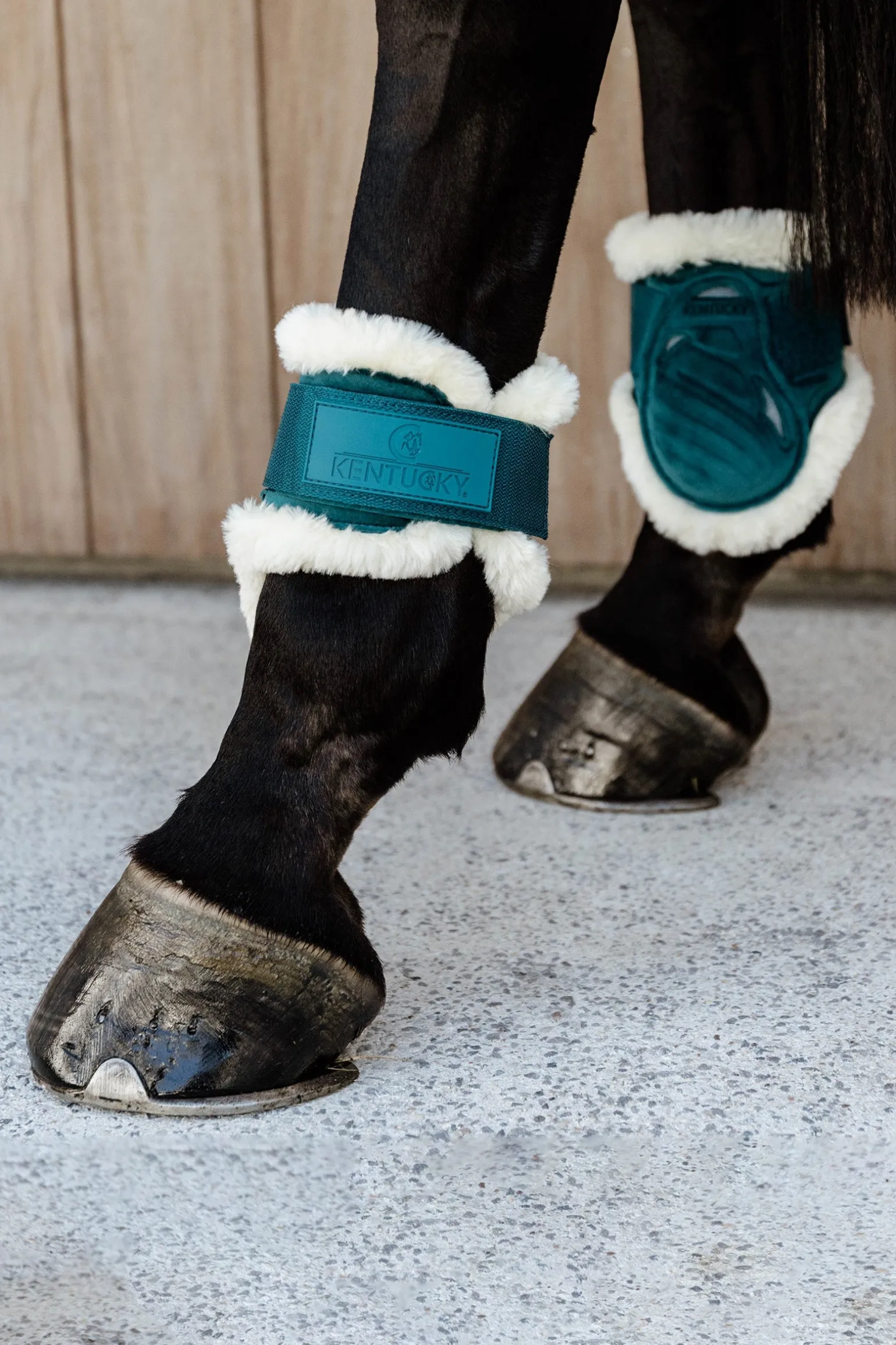 Velvet vegane Lammfell Streichkappen für Jungpferde