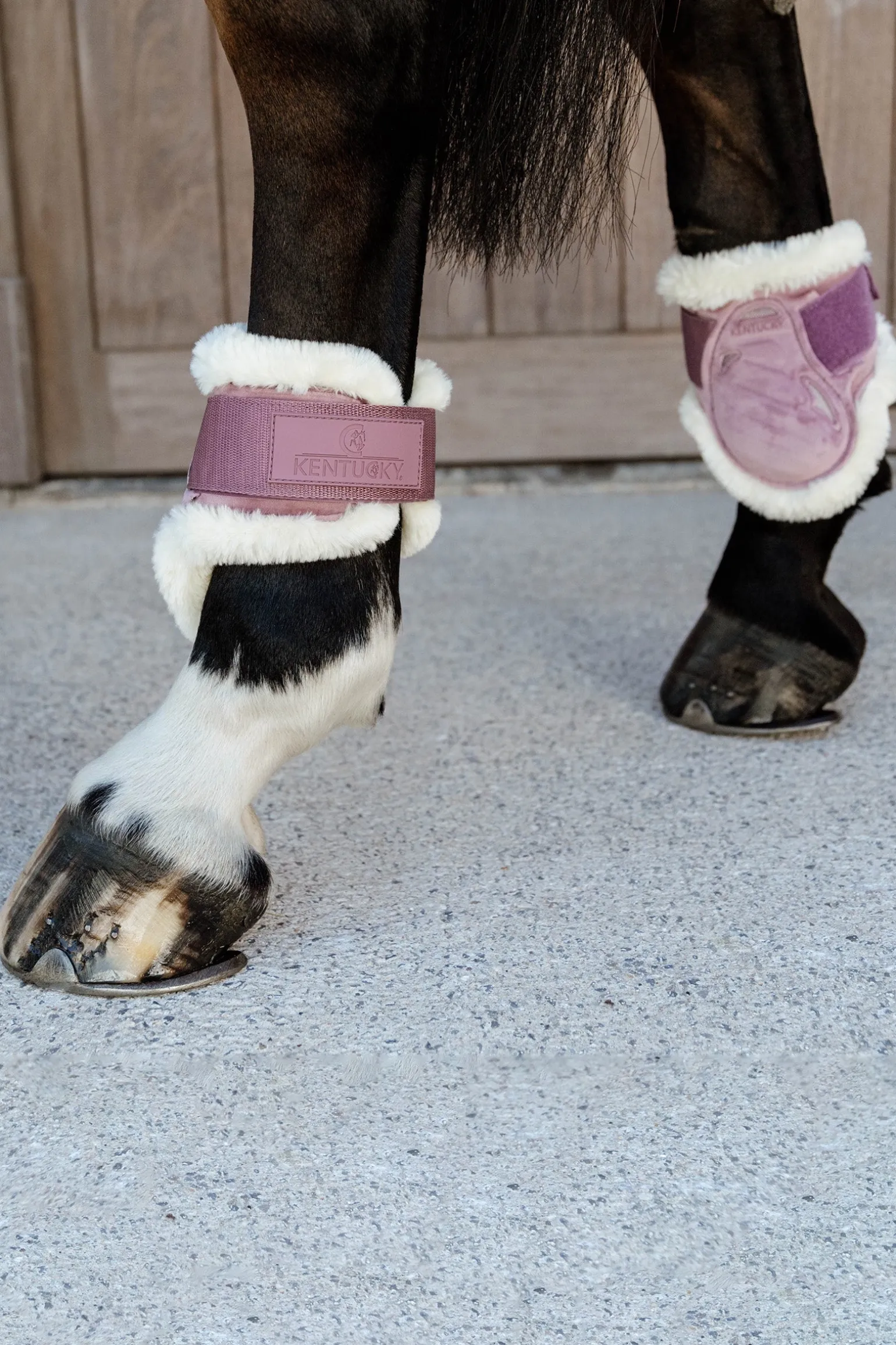Velvet vegane Lammfell Streichkappen für Jungpferde