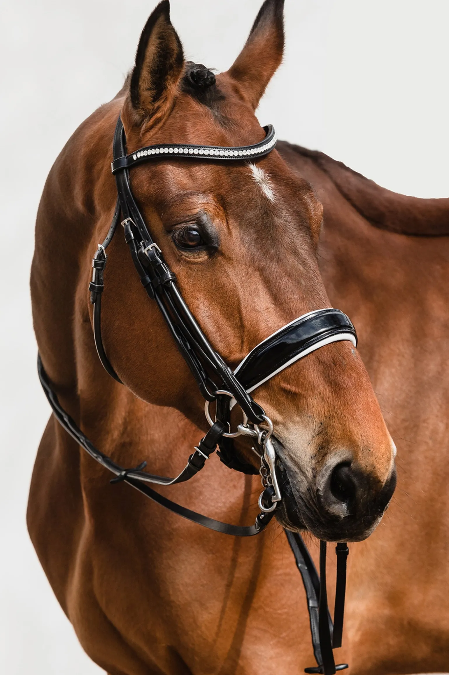 Venice Double Bridle