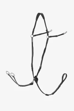 Vorderzeug mit abnehmbarem Martingal