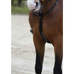 Vorderzeugschoner: BODY GUARD