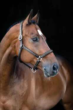 Warren weiches Lederhalfter