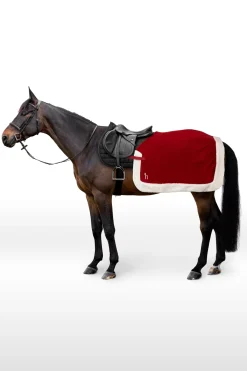 Weihnachtliche Ausreitdecke