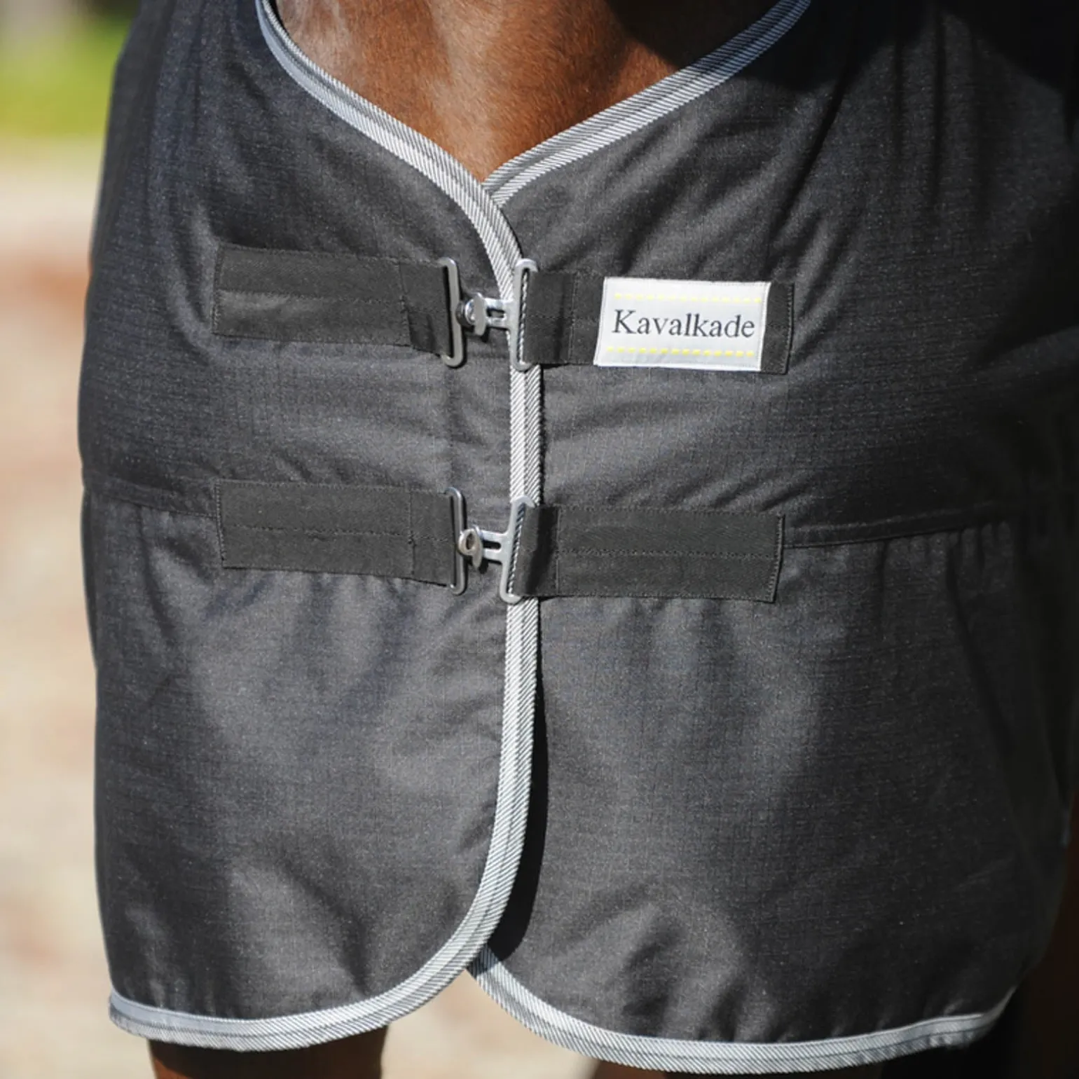 Winnipeg Weidedecke, 50g